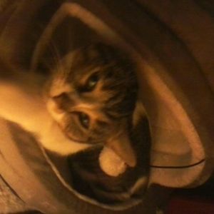 Meet your Posher, Martha